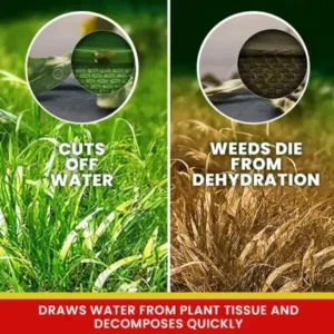 LIMETOW® Weed Killer Spray