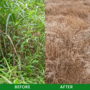 QIAWI® Cyclosinone Herbicide Granules