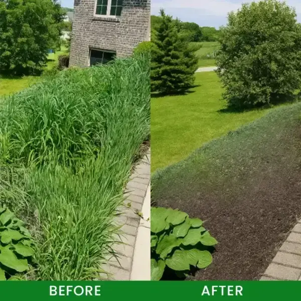 QIAWI® Cyclosinone Herbicide Granules