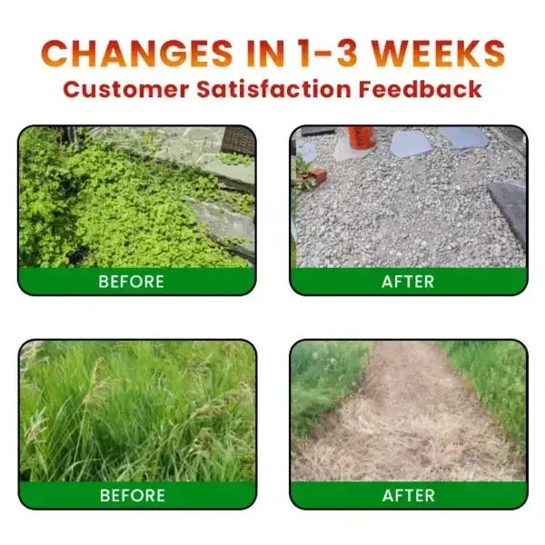 QIAWI® Cyclosinone Herbicide Granules