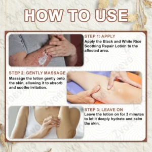 Zvoevo® Rice Bran Essence Cream